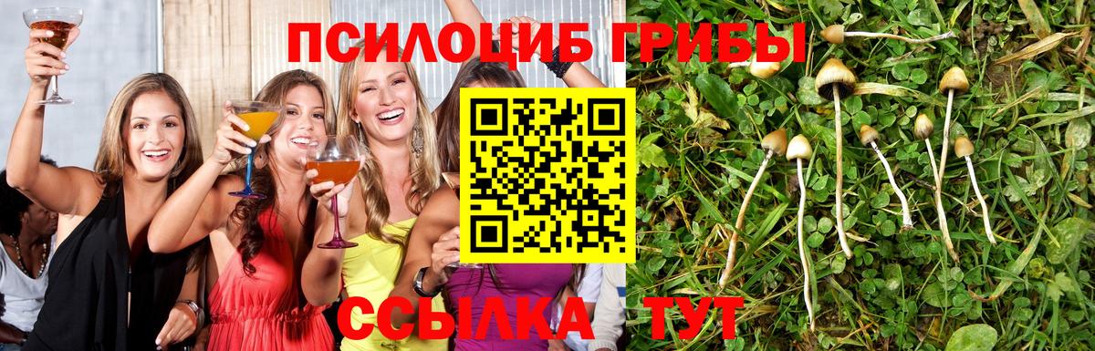 Галлюциногенные грибы Cubensis Костомукша