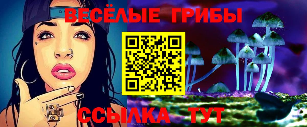 закладка  Псилоцибиновые грибы Psilocybe  Костомукша  Вход с VPN  Псилоцибиновые грибы мицелий 